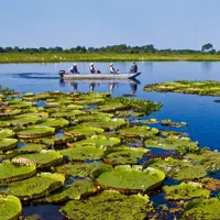 le Pantanal